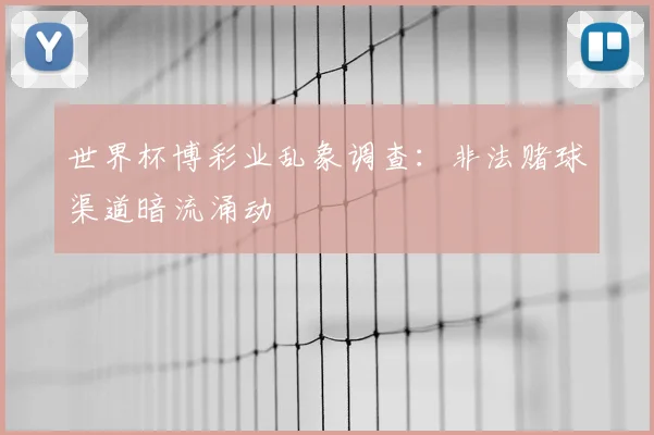 世界杯博彩业乱象调查:非法赌球渠道暗流涌动