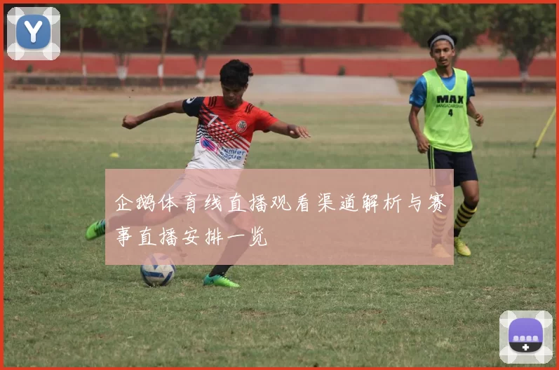 企鹅体育线直播观看渠道解析与赛事直播安排一览